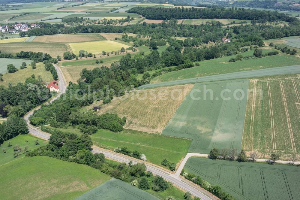 Offenau from the bird's eye view: Row of trees and digging in a field edge in Offenau in the state Baden-Wuerttemberg