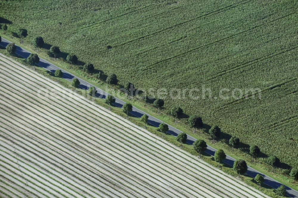 Paterdamm from above - Row of trees and digging in a field edge in Paterdamm in the state Brandenburg