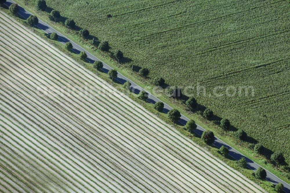 Paterdamm from the bird's eye view: Row of trees and digging in a field edge in Paterdamm in the state Brandenburg