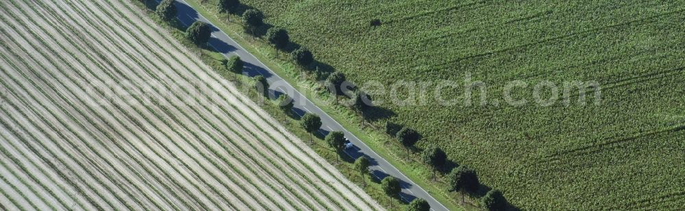 Aerial image Paterdamm - Row of trees and digging in a field edge in Paterdamm in the state Brandenburg