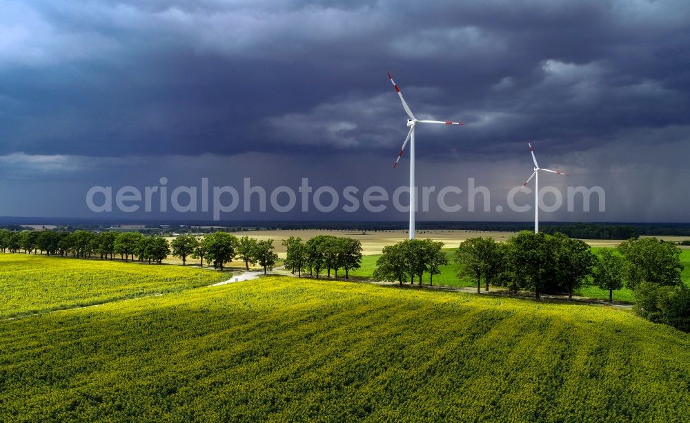 Aerial image Petersdorf - Row of trees in a field edge in Petersdorf in the state Brandenburg, Germany