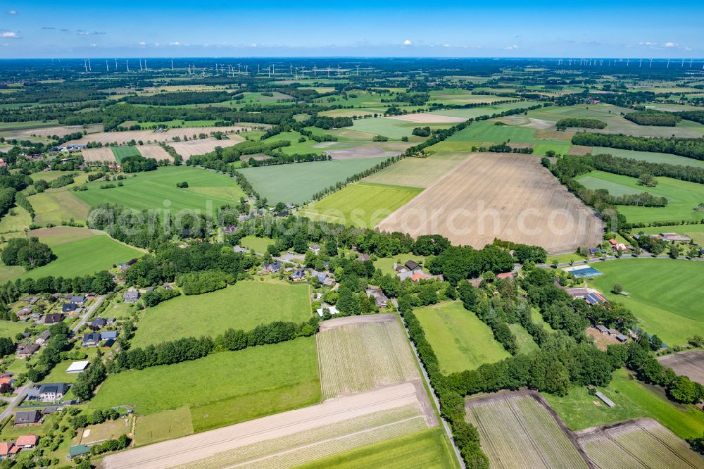 Reith from above - Row of trees in a field edge in Reith in the state Lower Saxony, Germany