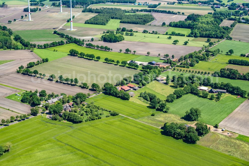 Reith from the bird's eye view: Row of trees in a field edge in Reith in the state Lower Saxony, Germany