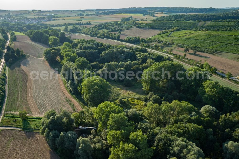 Aerial photograph Sulzfeld - Row of trees and digging in a field edge in Sulzfeld in the state Baden-Wuerttemberg