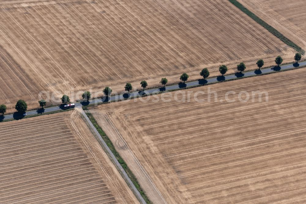 Timmerlah from the bird's eye view: Row of trees in a field edge in Timmerlah in the state Lower Saxony, Germany