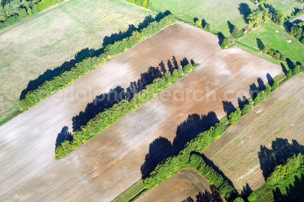 Vehlin from above - Row of trees in a field edge in Vehlin in the state Brandenburg, Germany