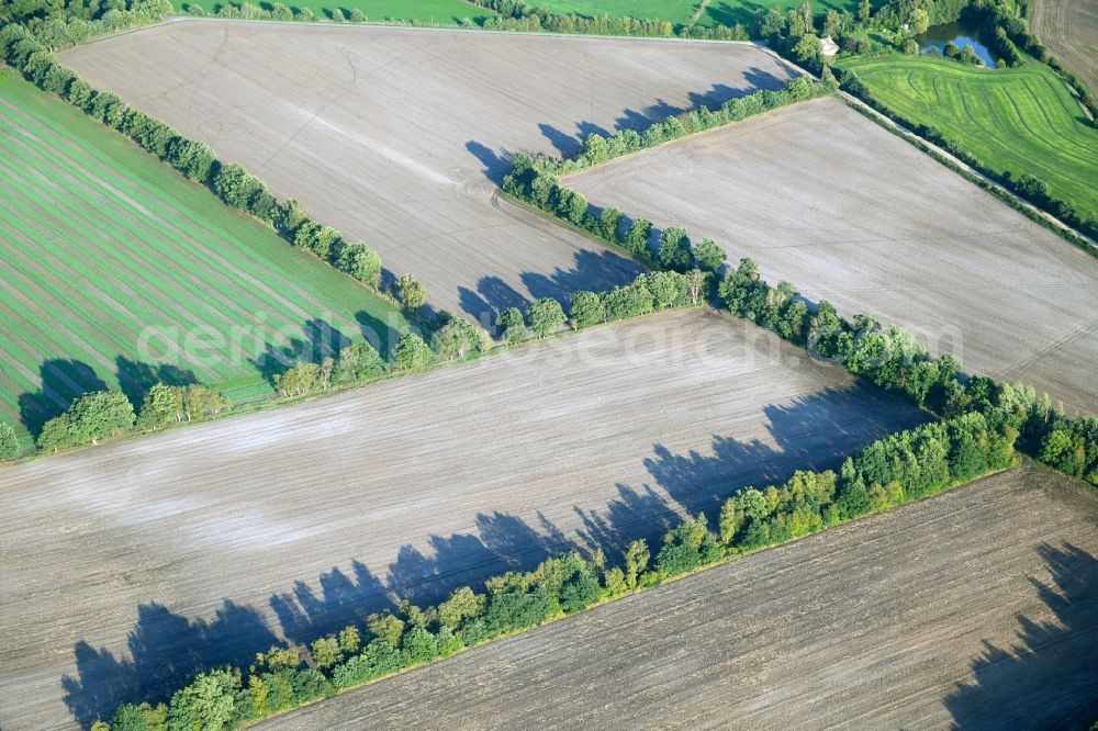 Wasbek from above - Row of trees in a field edge in Wasbek in the state Schleswig-Holstein, Germany