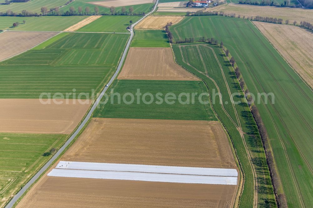 Aerial image Werl - Row of trees in a field edge in Werl at Ruhrgebiet in the state North Rhine-Westphalia, Germany