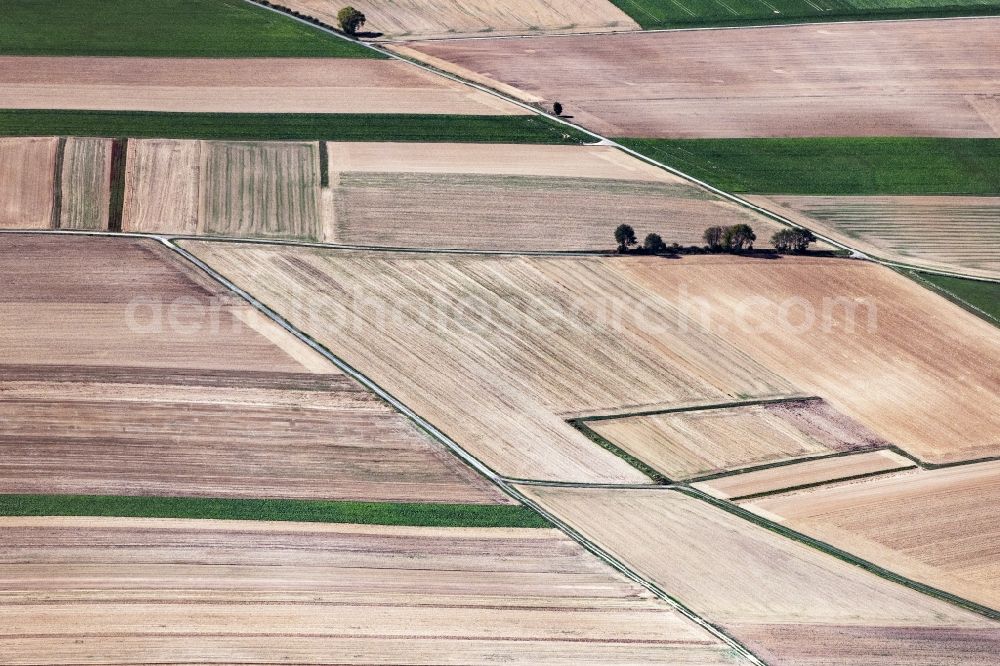 Willingshausen from above - Row of trees in a field edge in Willingshausen in the state Hesse, Germany