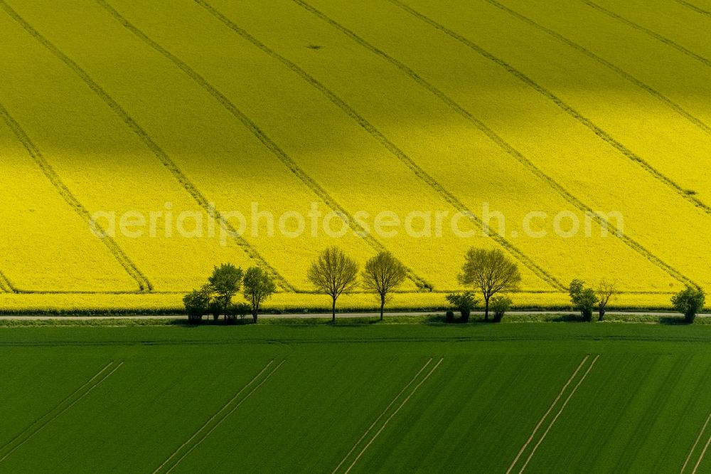 Aerial image Baesweiler - Landscape green - yellow rape field - at Baesweiler structures in North Rhine-Westphalia