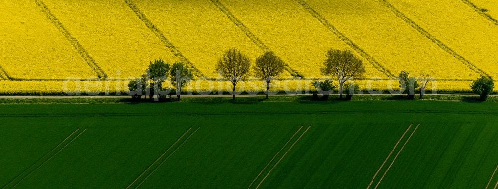 Aerial photograph Baesweiler - Landscape green - yellow rape field - at Baesweiler structures in North Rhine-Westphalia