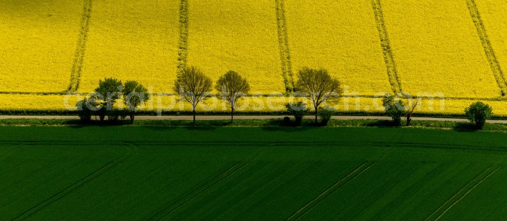 Baesweiler from above - Landscape green - yellow rape field - at Baesweiler structures in North Rhine-Westphalia