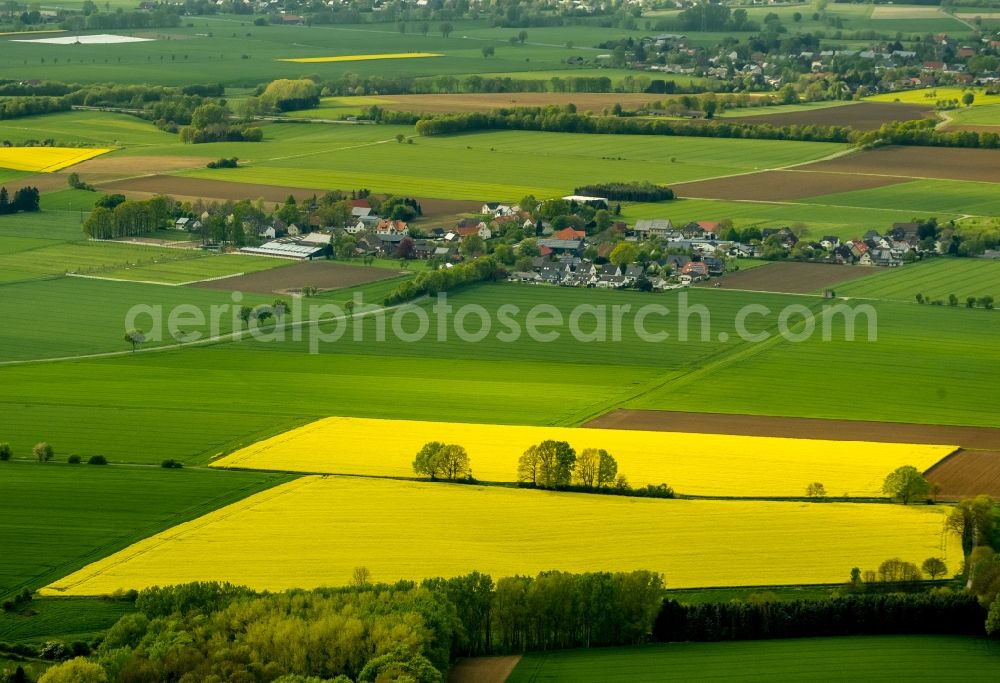 Werl from above - Landscape green - yellow rape field - at Werl structures in North Rhine-Westphalia