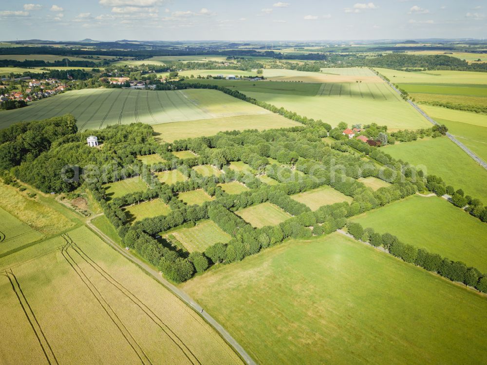 Herrnhut from above - Row of trees Herrnhuter Gottesacker in a field edge on street Berthelsdorfer Allee in Herrnhut in the state Saxony, Germany