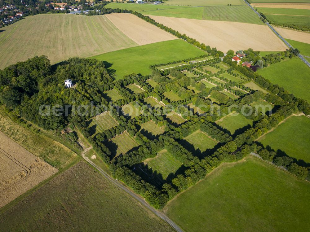 Aerial photograph Herrnhut - Row of trees Herrnhuter Gottesacker in a field edge on street Berthelsdorfer Allee in Herrnhut in the state Saxony, Germany