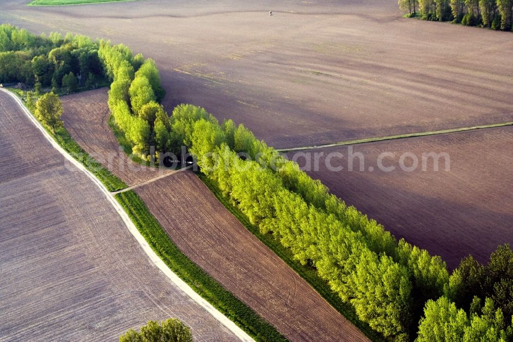 Aerial photograph Biblisheim - Row of trees on a country road on a field edge in Biblisheim in Alsace-Champagne-Ardenne-Lorraine, France