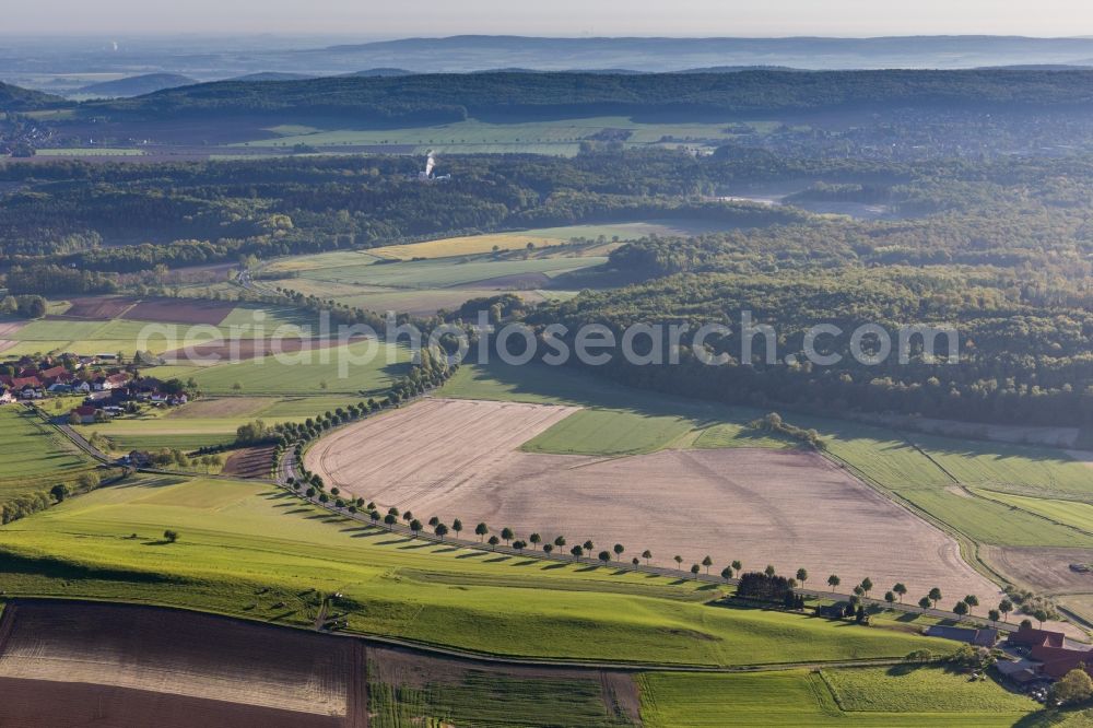 Capellenhagen from above - Row of trees on a country road on a field edge in Capellenhagen in the state Lower Saxony, Germany