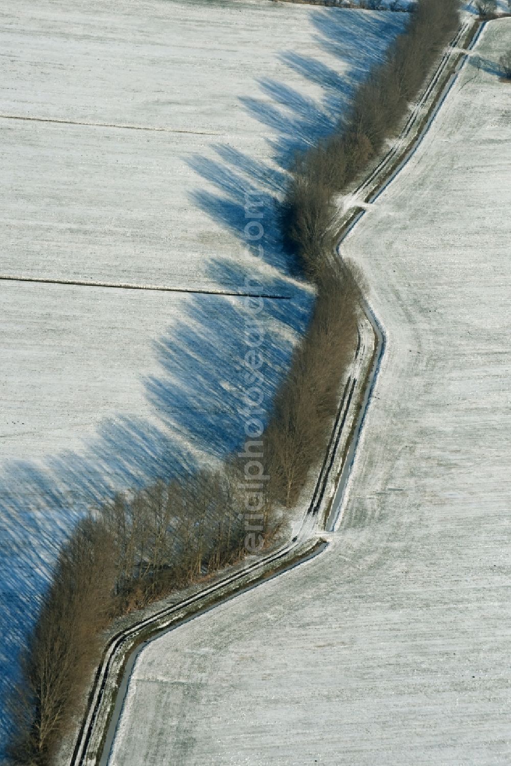 Ludwigsfelde from above - Wintry snowy row of trees on a country road on a field edge in Gross Schulzendorf in the state Brandenburg