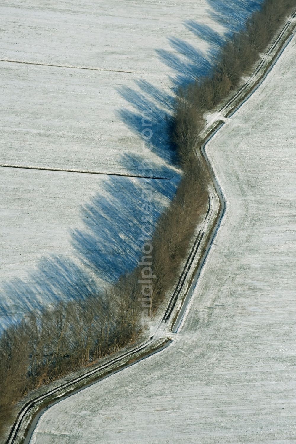 Ludwigsfelde from the bird's eye view: Wintry snowy row of trees on a country road on a field edge in Gross Schulzendorf in the state Brandenburg