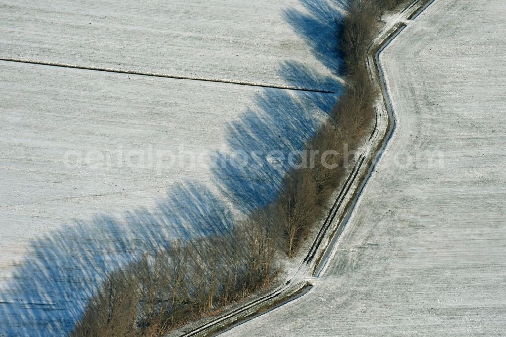 Aerial image Ludwigsfelde - Wintry snowy row of trees on a country road on a field edge in Gross Schulzendorf in the state Brandenburg