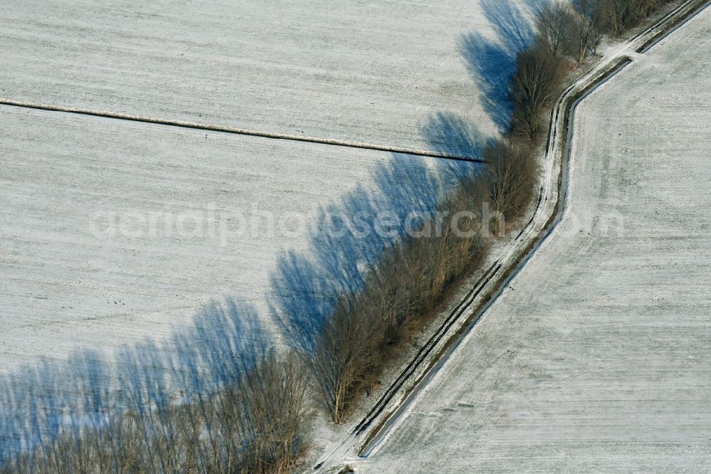 Aerial photograph Ludwigsfelde - Wintry snowy row of trees on a country road on a field edge in Gross Schulzendorf in the state Brandenburg