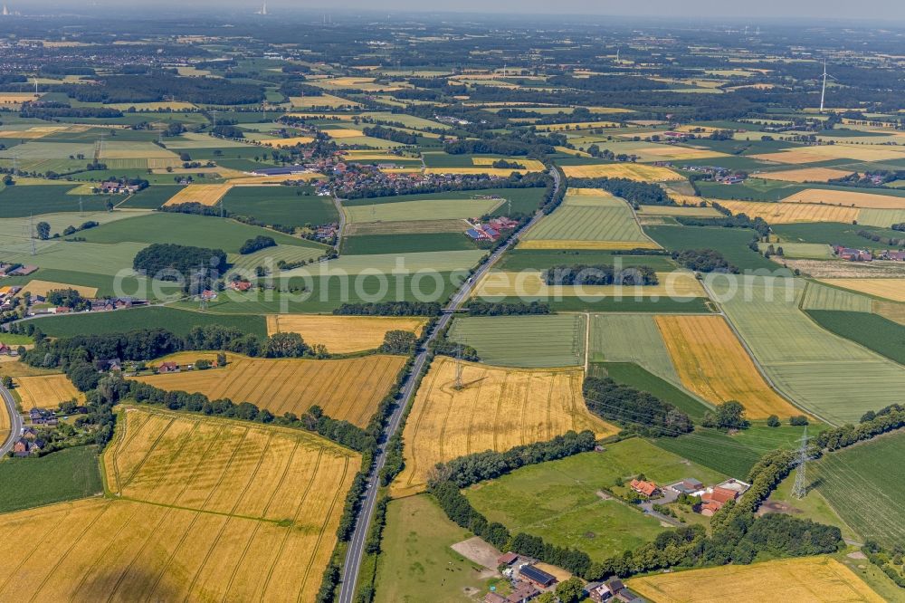 Aerial photograph Hamm - Row of trees on the Lipperandstrasse on a field edge with farmsteads and agricultural fields in Hamm in the state North Rhine-Westphalia, Germany