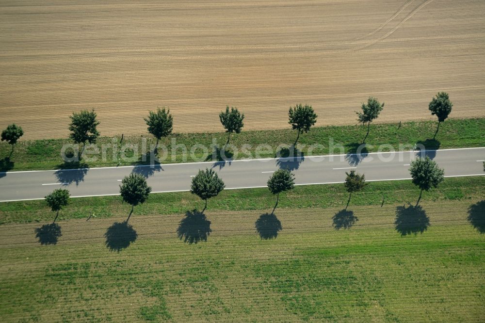 Hohenahlsdorf from above - Row of trees on the country road L715 on a field edge in the South of Hohenahlsdorf in the state of Brandenburg