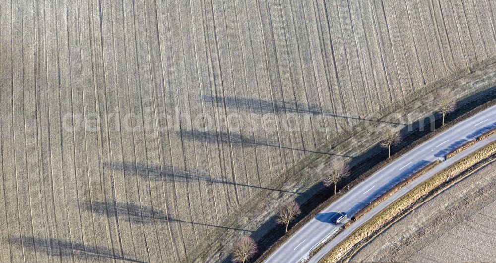 Aerial image Kumhausen - Row of trees on a country road on a field edge in Kumhausen in the state Bavaria