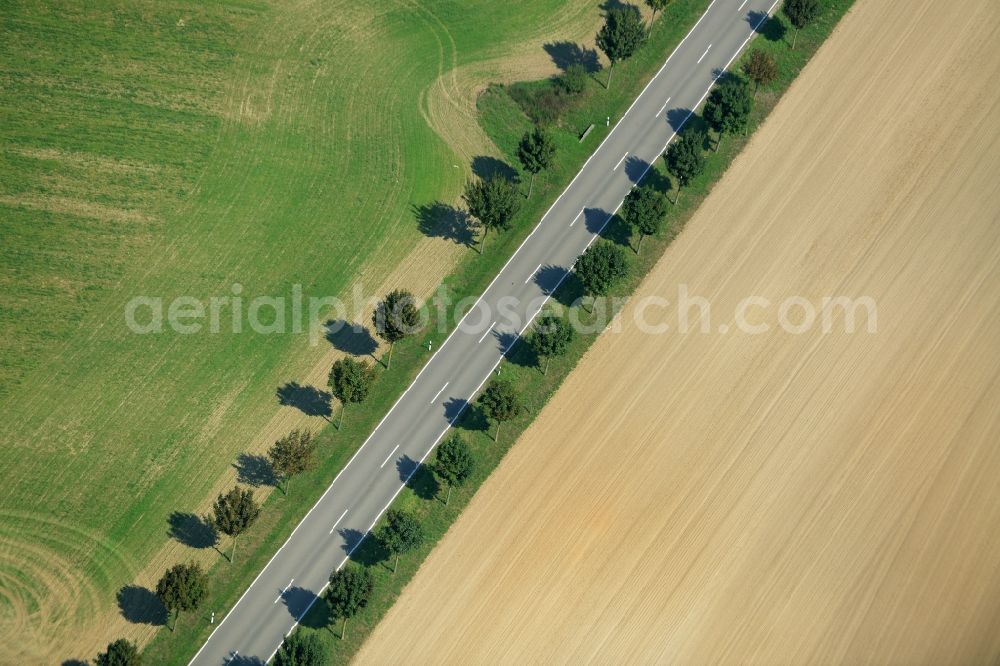 Langenlipsdorf from above - Row of trees on the country road L715 on a field edge in Langenlipsdorf in the state of Brandenburg