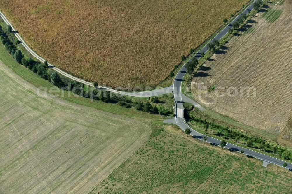 Aerial photograph Melpitz - Row of trees on a country road on a field edge with a bridge over the Schwarzer Kanal in Melpitz in the state Saxony