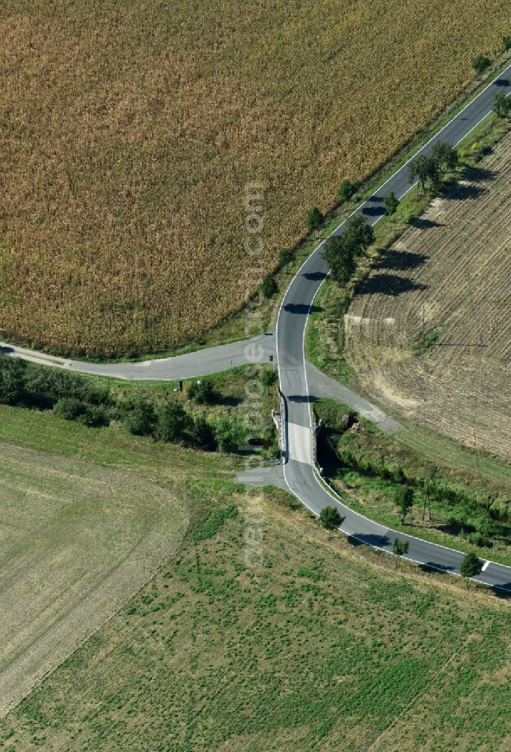 Melpitz from above - Row of trees on a country road on a field edge with a bridge over the Schwarzer Kanal in Melpitz in the state Saxony