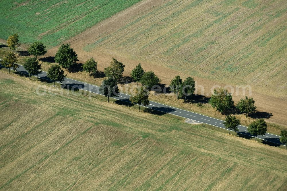 Roda from the bird's eye view: Row of trees beside the country road B7 on a field edge near Roda in the state Saxony