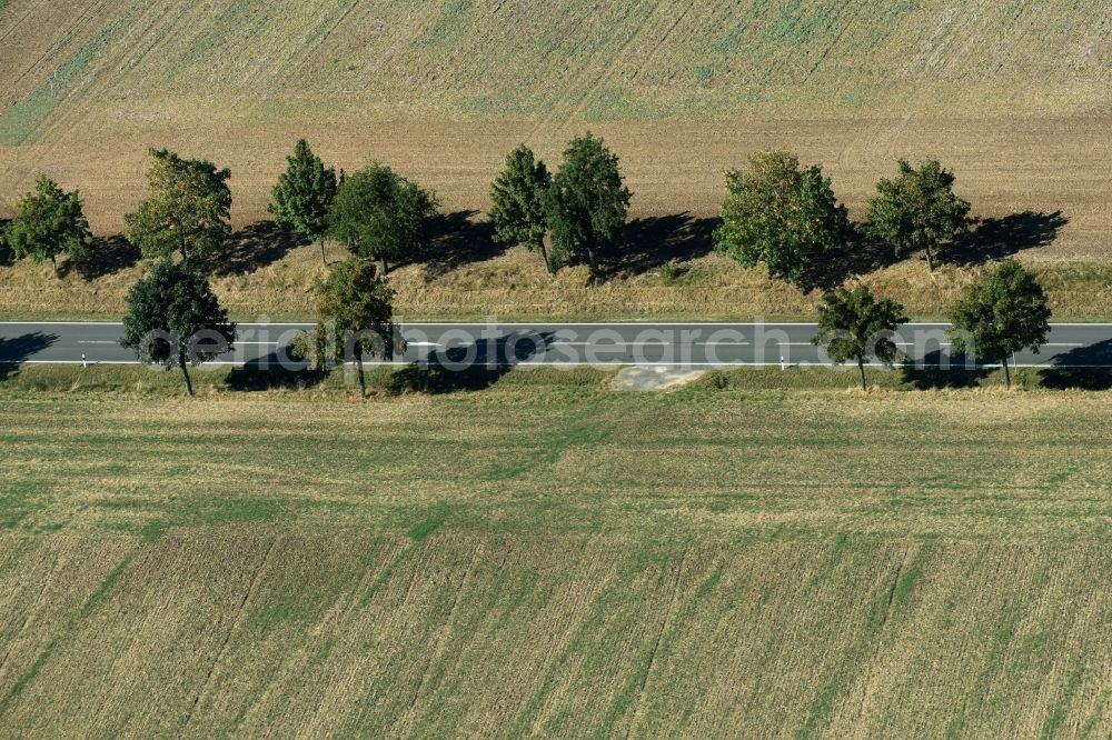 Aerial image Roda - Row of trees beside the country road B7 on a field edge near Roda in the state Saxony