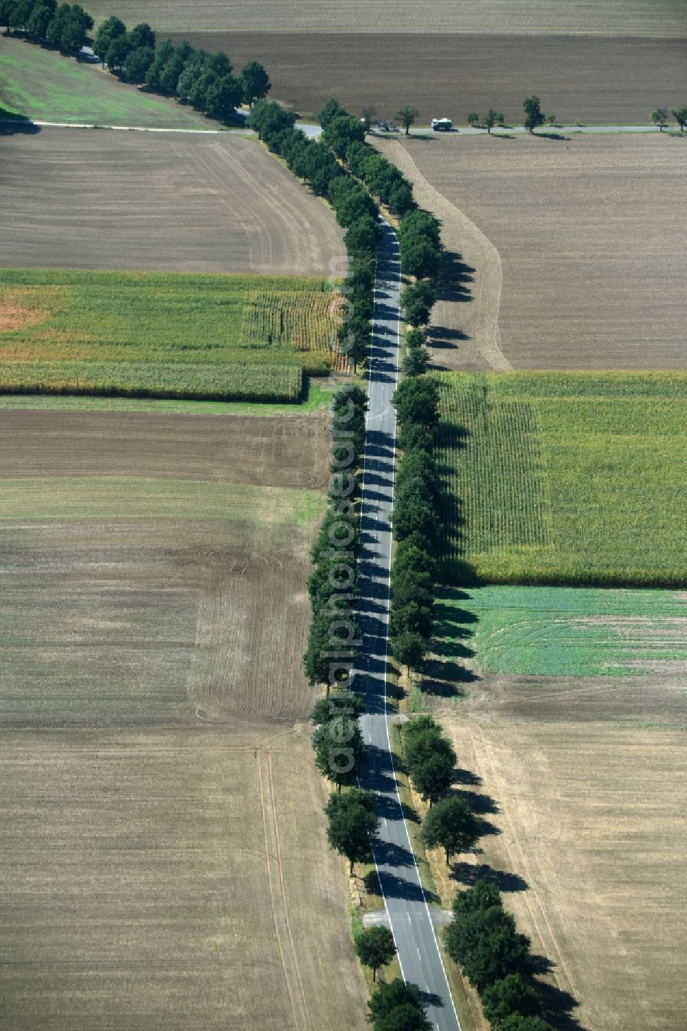 Aerial image Roda - Row of trees beside the country road B7 with the Geithainer Strasse crossing it on a field edge near Roda in the state Saxony