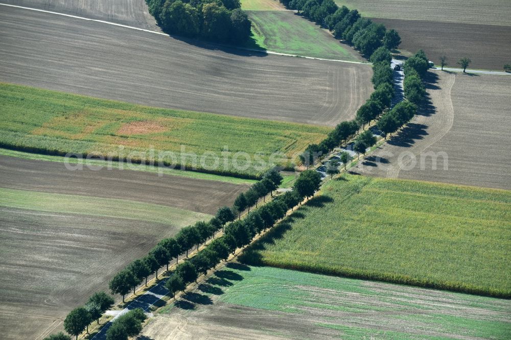 Roda from above - Row of trees beside the country road B7 with the Geithainer Strasse crossing it on a field edge near Roda in the state Saxony