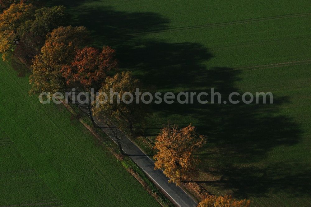 Aerial photograph Nauen - Row of trees on a country road on a field edge in the district Markee in Nauen in the state Brandenburg