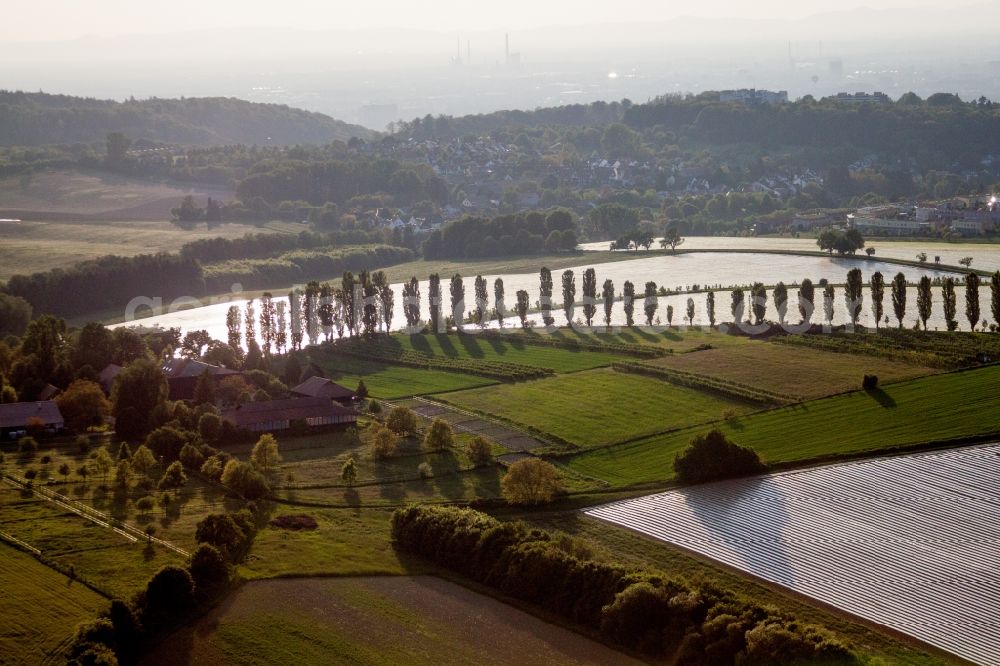 Aerial image Karlsruhe - Row of trees on a country road on a field edge in the district Hohenwettersbach in Karlsruhe in the state Baden-Wuerttemberg, Germany