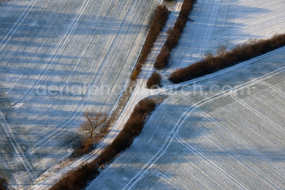 Aerial photograph Ketzin - Wintry snowy row of trees on a country road on a field edge in Tremmen in the state Brandenburg