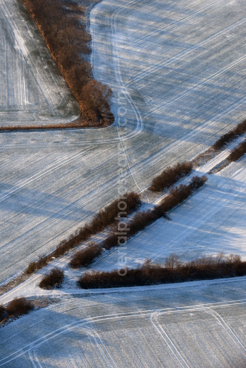 Aerial image Ketzin - Wintry snowy row of trees on a country road on a field edge in Tremmen in the state Brandenburg