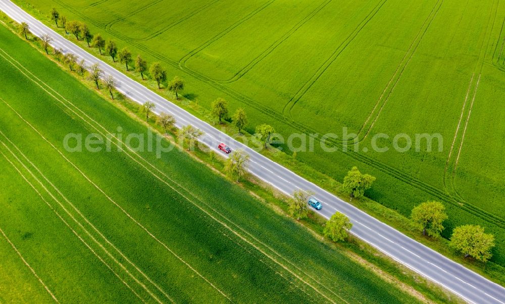 Aerial image Bad Kösen - Row of trees on a country road on a Grain field edge in Bad Koesen in the state Saxony-Anhalt, Germany