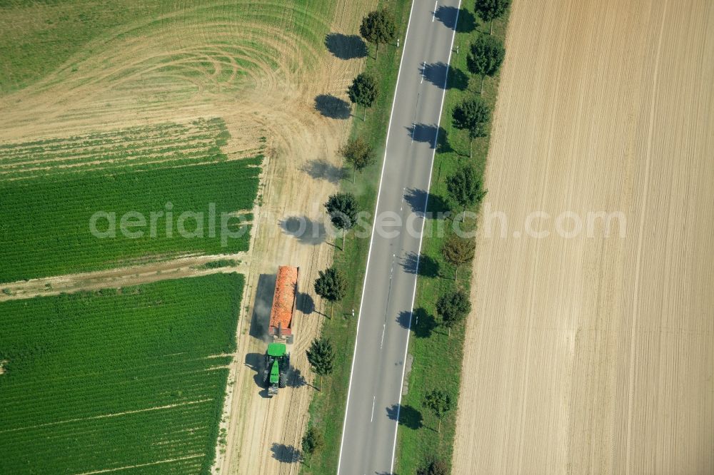 Aerial photograph Langenlipsdorf - Row of trees and tractor on the country road L715 on a field edge in the South of Langenlipsdorf in the state of Brandenburg