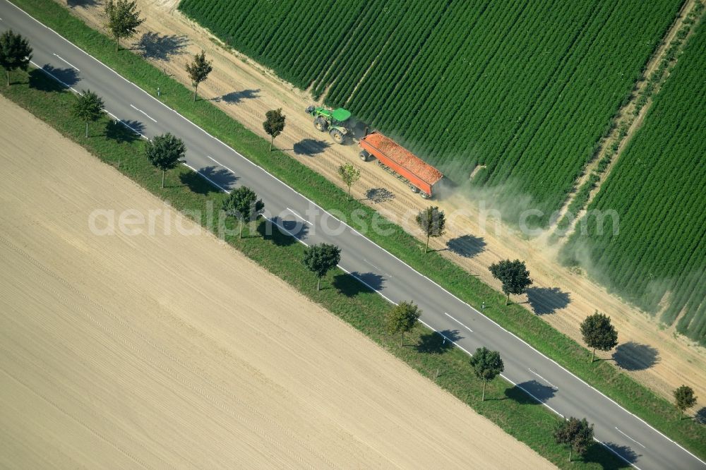 Langenlipsdorf from the bird's eye view: Row of trees and tractor on the country road L715 on a field edge in the South of Langenlipsdorf in the state of Brandenburg