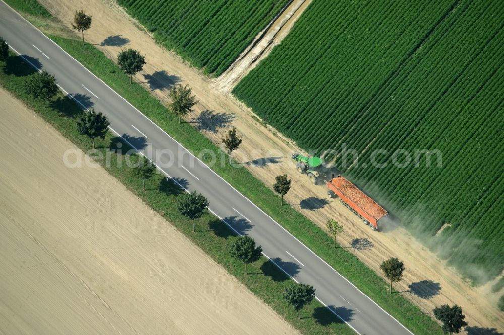 Aerial photograph Langenlipsdorf - Row of trees and tractor on the country road L715 on a field edge in the South of Langenlipsdorf in the state of Brandenburg