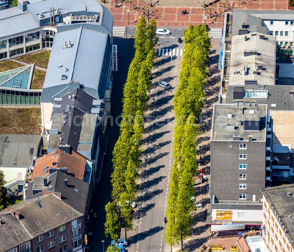 Aerial photograph Wesel - Row of trees on Wilhelmstrasse in the district Blumenkamp in Wesel in the state North Rhine-Westphalia, Germany