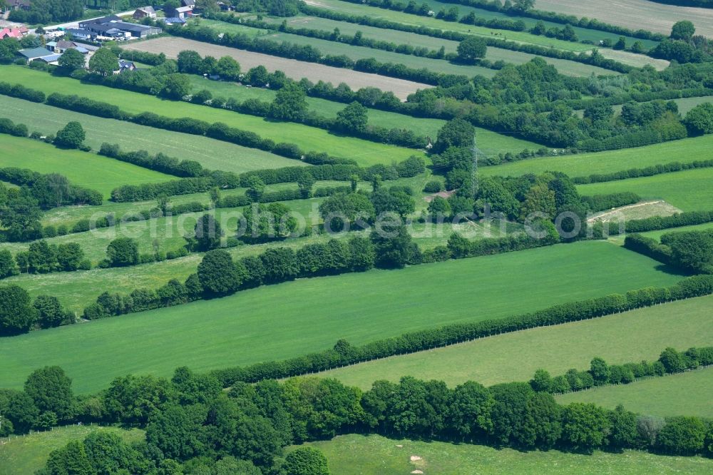 Aerial image Mözen - Row of trees in a field edge in Moezen in the state Schleswig-Holstein, Germany