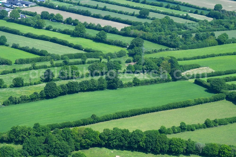 Aerial photograph Mözen - Row of trees in a field edge in Moezen in the state Schleswig-Holstein, Germany