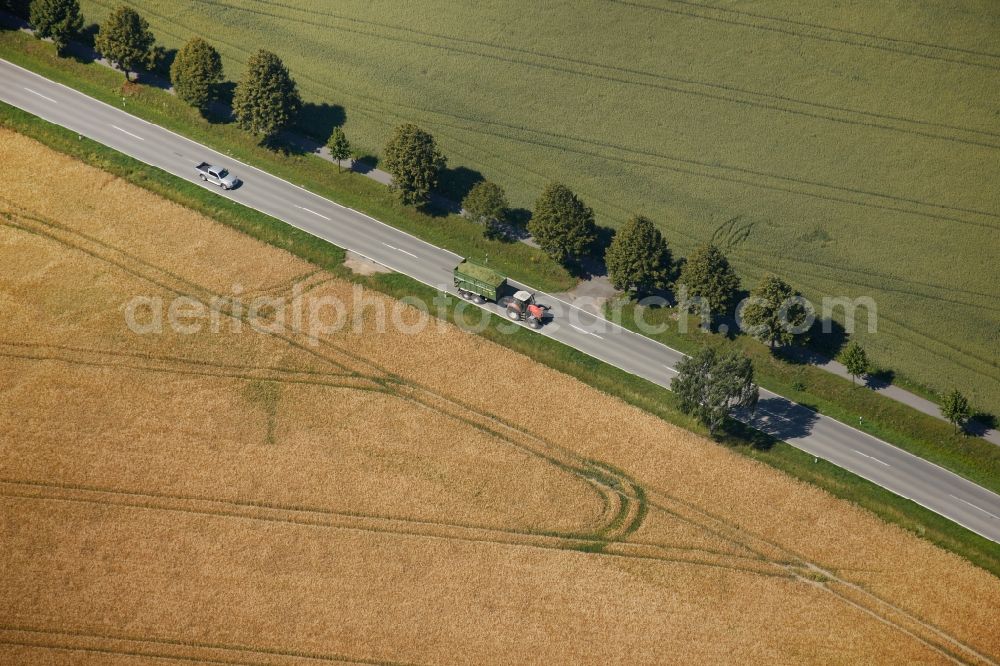 Aerial image Herzebrock-Clarholz - Rows of trees along a country road in Herzebrock in North Rhine-Westphalia