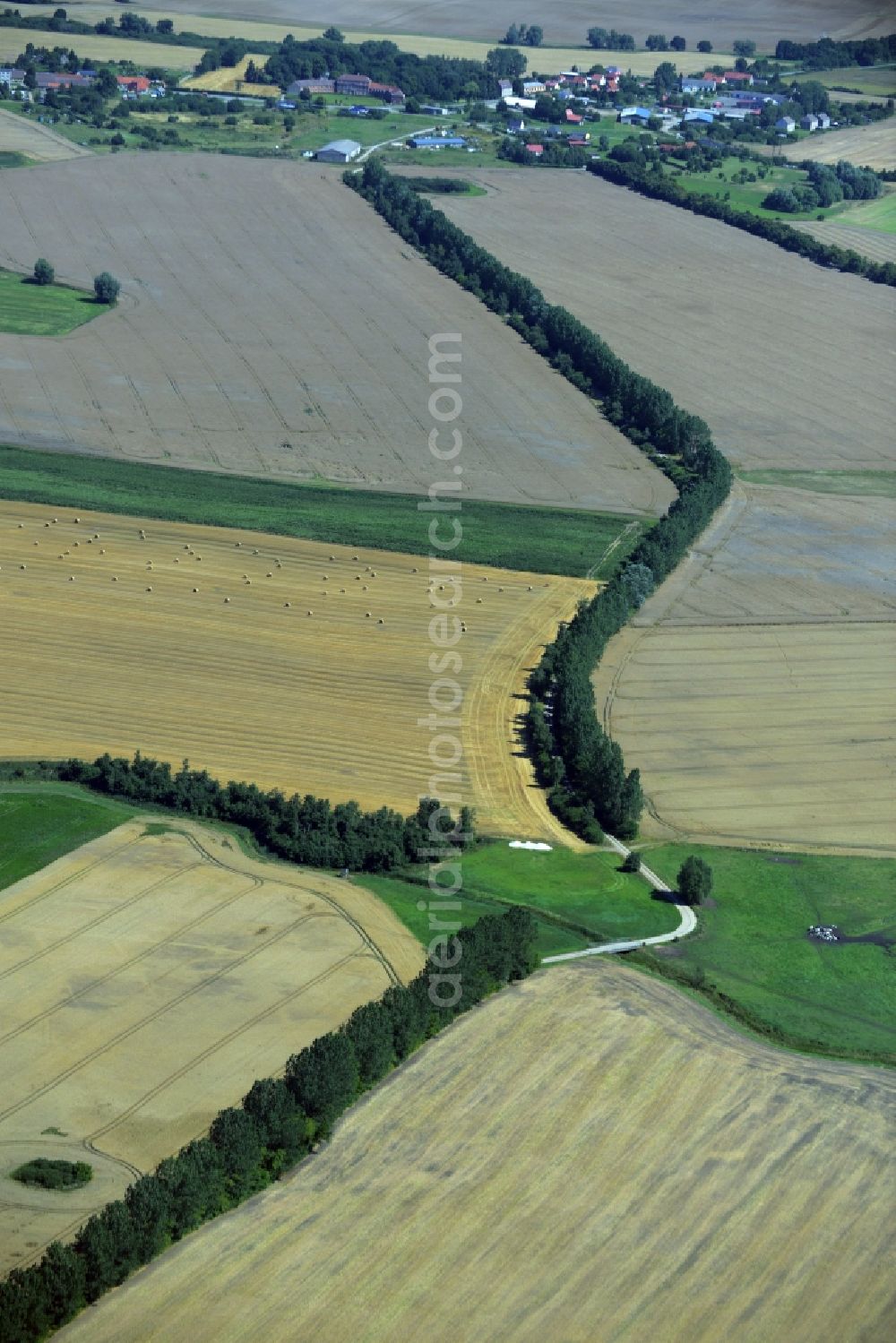 Aerial image Zettemin - Row of trees, fields and meadows in the South of Zettemin in the state Mecklenburg - Western Pomerania