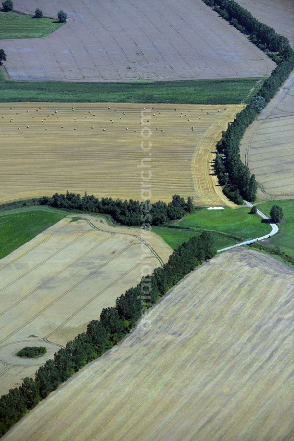 Aerial photograph Zettemin - Row of trees, fields and meadows in the South of Zettemin in the state Mecklenburg - Western Pomerania