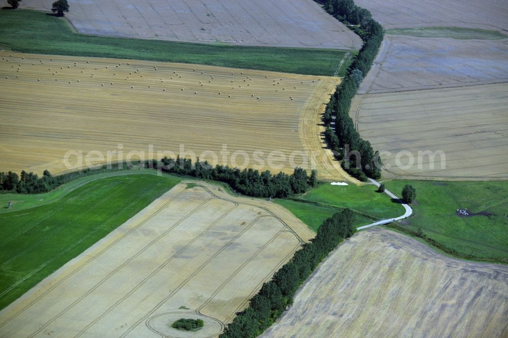 Zettemin from above - Row of trees, fields and meadows in the South of Zettemin in the state Mecklenburg - Western Pomerania